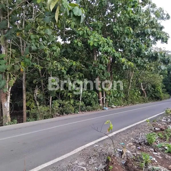 image TANAH MURAH JALAN UTAMA PANTAI BALANGAN PECATU, ULUWATU - BALI (1)