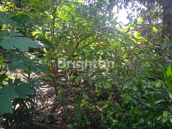 image TANAH 700M² DI PLOSOKEREP, DEKAT SEKOLAH ,STASIUN DAN SAMSAT KOTA BLITAR (3)