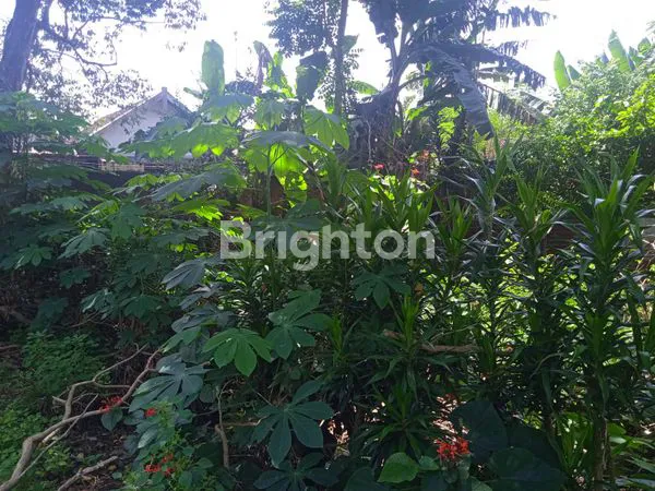 image TANAH 700M² DI PLOSOKEREP, DEKAT SEKOLAH ,STASIUN DAN SAMSAT KOTA BLITAR (4)