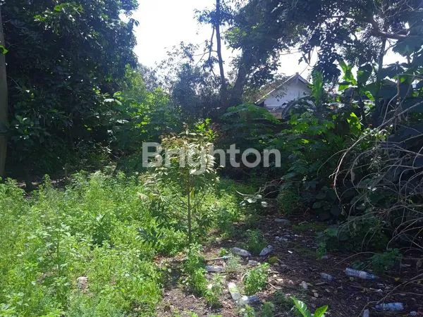 image TANAH 700M² DI PLOSOKEREP, DEKAT SEKOLAH ,STASIUN DAN SAMSAT KOTA BLITAR (1)