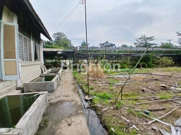 image TANAH DIJUAL (2)