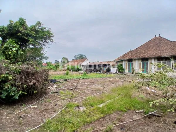 image TANAH DIJUAL (7)