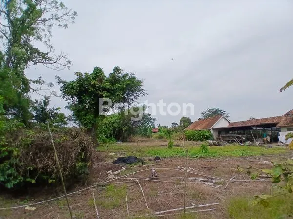 image TANAH DIJUAL (6)