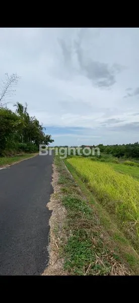 image DIJUWL TANAH VIEW INDAH DI SELEMADEG (6)