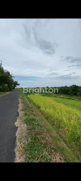 image DIJUWL TANAH VIEW INDAH DI SELEMADEG (1)