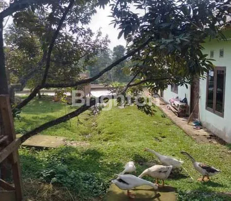 image KEBUN, PETERNAKAN, KOLAM DIATAS TANAH LUAS (4)