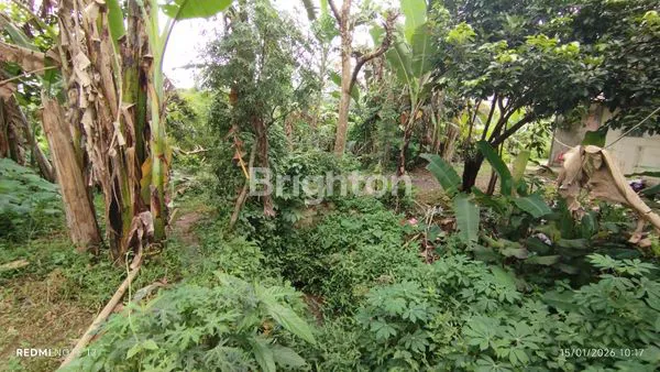 image INVESTASI TANAH 500M² SHM DI TAJUR BOGOR,COCOK UNTUK HUNIAN ATAU USAHA (2)