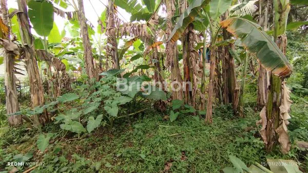 image INVESTASI TANAH 500M² SHM DI TAJUR BOGOR,COCOK UNTUK HUNIAN ATAU USAHA (6)