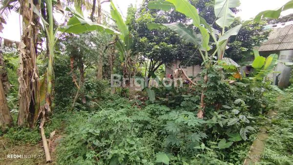 image INVESTASI TANAH 500M² SHM DI TAJUR BOGOR,COCOK UNTUK HUNIAN ATAU USAHA (4)