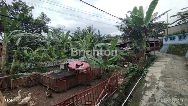 image INVESTASI TANAH 500M² SHM DI TAJUR BOGOR,COCOK UNTUK HUNIAN ATAU USAHA (8)