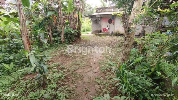 image INVESTASI TANAH 500M² SHM DI TAJUR BOGOR,COCOK UNTUK HUNIAN ATAU USAHA (5)