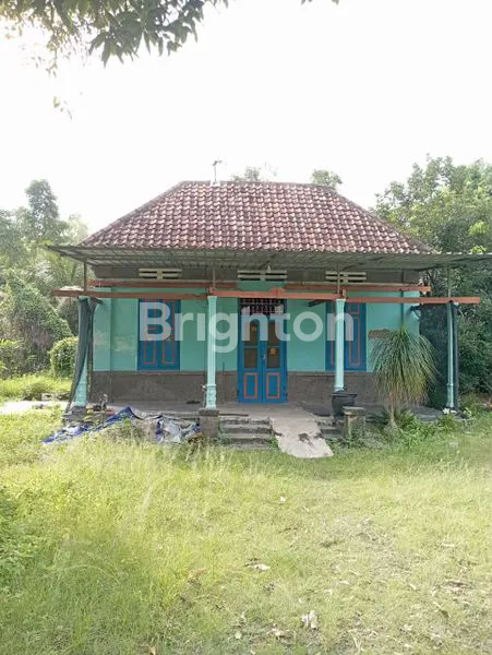 image RUMAH SHM LT 1632 M² DI MAGERSARI, MOJOKERTO (1)