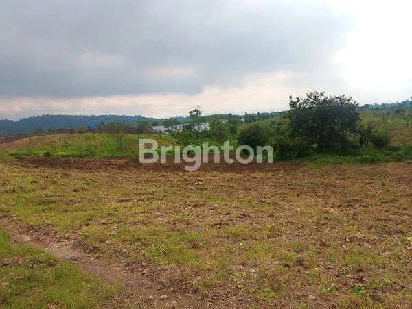 image TANAH LUAS DI INDRAMAYU (3)