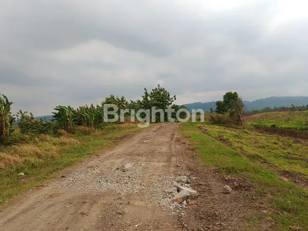 image TANAH LUAS DI INDRAMAYU (4)