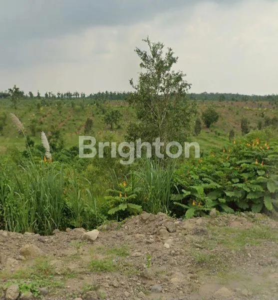 image TANAH LUAS DI INDRAMAYU (1)