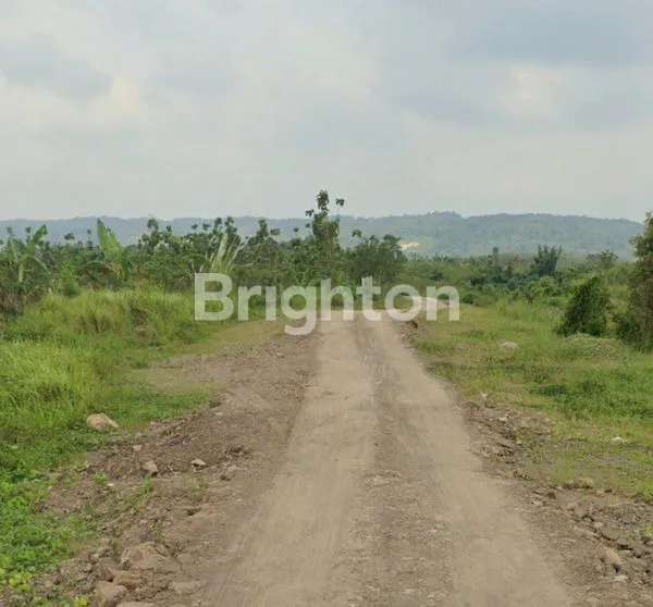image TANAH LUAS DI INDRAMAYU (2)