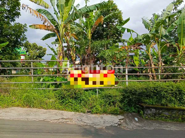 image TANAH LETAKNYA SANGAT STRATEGIS DIDEKAT GOA MARIA KEREP AMBARAWA (1)