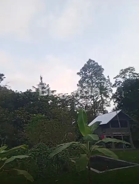 image BEST DEAL! TANAH DI LOMBOK TENGAH 96 ARE (2)