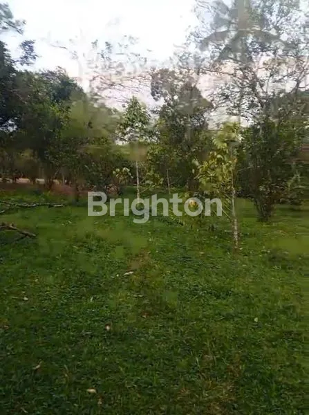 image BEST DEAL! TANAH DI LOMBOK TENGAH 96 ARE (3)