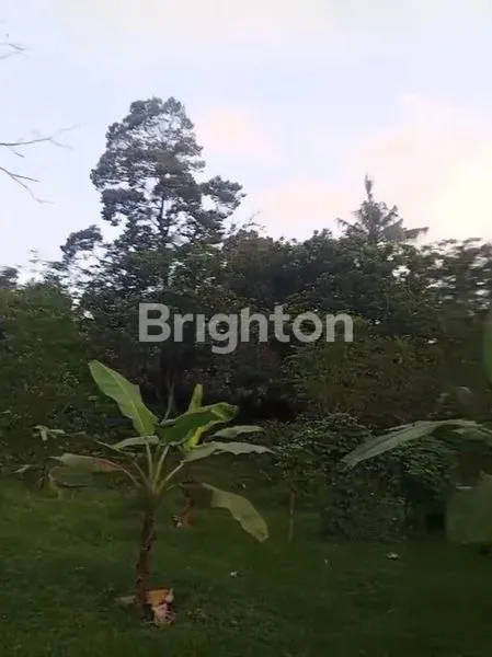 BEST DEAL! TANAH DI LOMBOK TENGAH 96 ARE