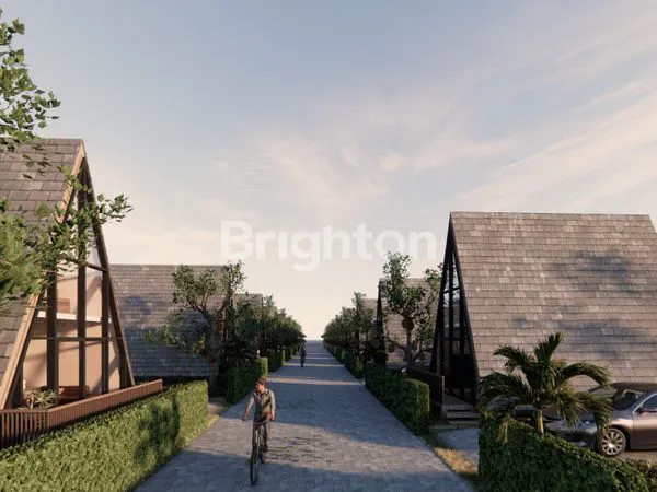 image TANAH KAVLING DURIAN MUSANGKING 10 ARE VIEW HILL,OCEAN,FORRESH INVESTASI AGRO&ECO DI PINEBEL TABANAN (2)