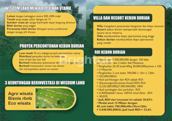 image TANAH KAVLING DURIAN MUSANGKING 10 ARE VIEW HILL,OCEAN,FORRESH INVESTASI AGRO&ECO DI PINEBEL TABANAN (6)