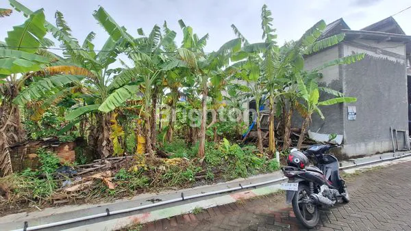 image TANAH DATAR SIAP BANGUN AREA PEDURUNGAN (2)