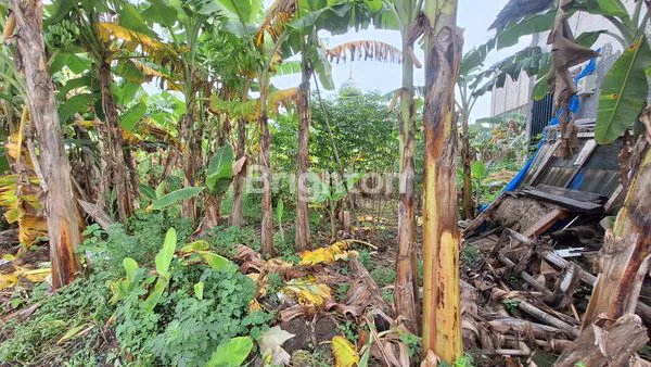 image TANAH DATAR SIAP BANGUN AREA PEDURUNGAN (3)