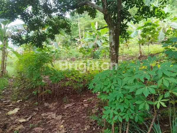 image DIJUAL TANAH (3)