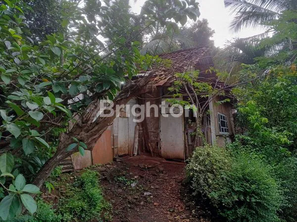 image DIJUAL TANAH (5)