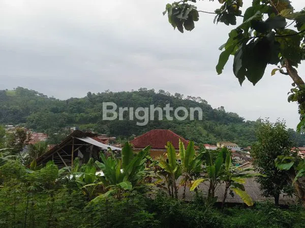 image DIJUAL TANAH (4)