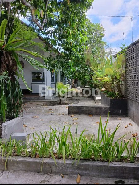 image RUMAH DI KOTA BLITAR (1)
