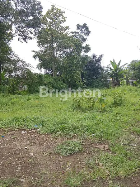 image 4 UNIT TANAH MURAH KEPANJEN (7)