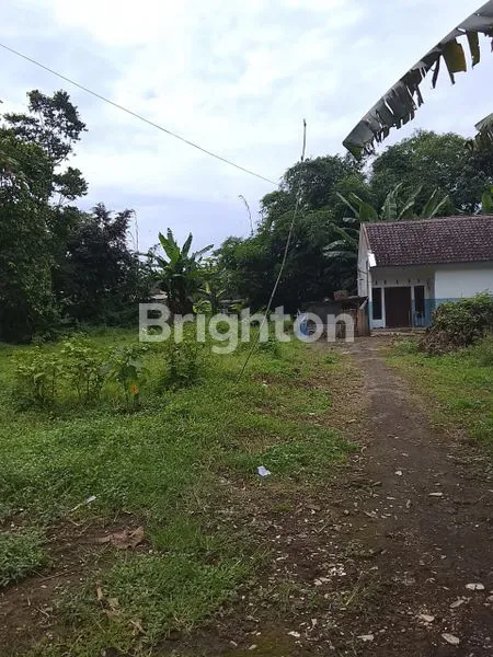 image 4 UNIT TANAH MURAH KEPANJEN (6)