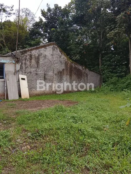 image 4 UNIT TANAH MURAH KEPANJEN (5)