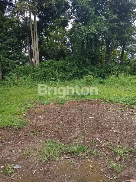 image 4 UNIT TANAH MURAH KEPANJEN (3)