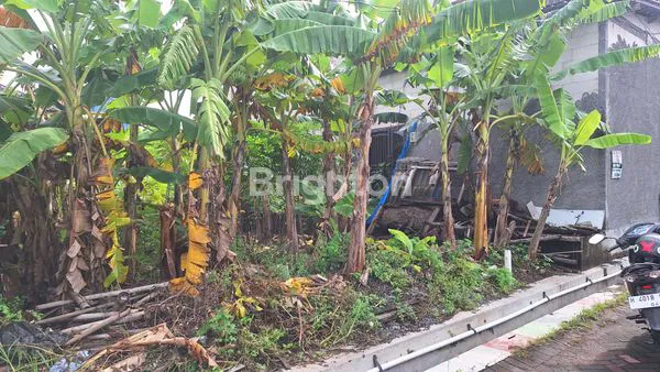 image TANAH DATAR SIAP BANGUN AREA PEDURUNGAN (5)