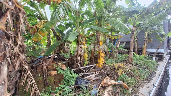 image TANAH DATAR SIAP BANGUN AREA PEDURUNGAN (4)