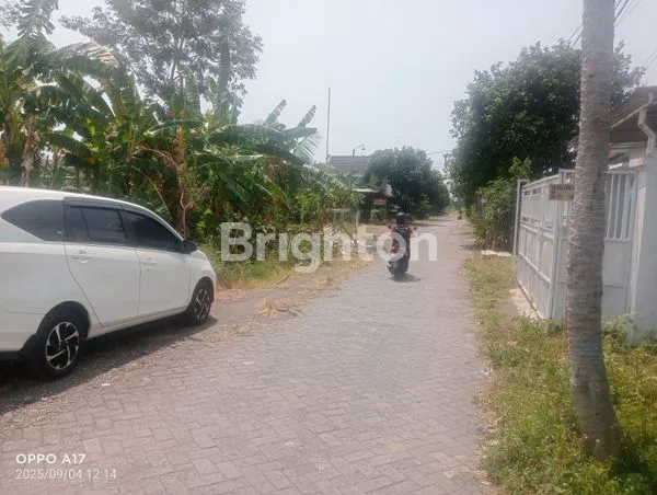 image DI JUAL!!! TANAH JLN. RAYA GENDING PROBOLINGGO (3)