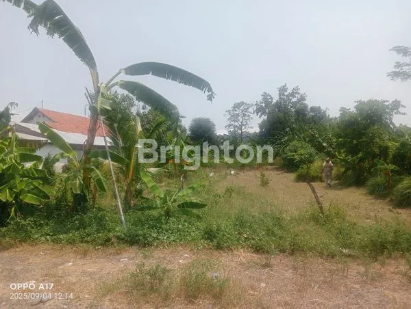 image DI JUAL!!! TANAH JLN. RAYA GENDING PROBOLINGGO (1)