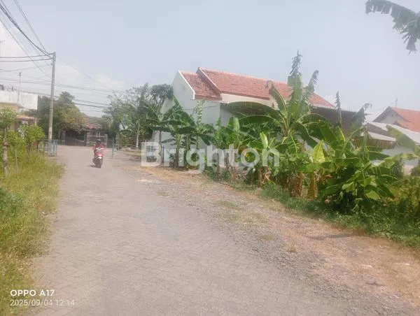 image DI JUAL!!! TANAH JLN. RAYA GENDING PROBOLINGGO (2)