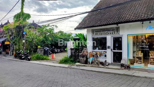 image TOKO 48 M2 UBUD (3)