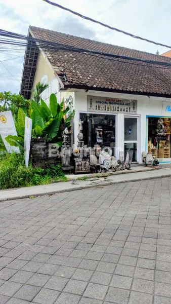 image TOKO 48 M2 UBUD (4)