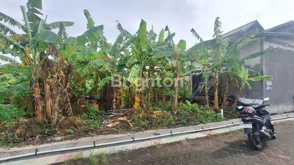 image TANAH DATAR SIAP BANGUN AREA PEDURUNGAN (6)