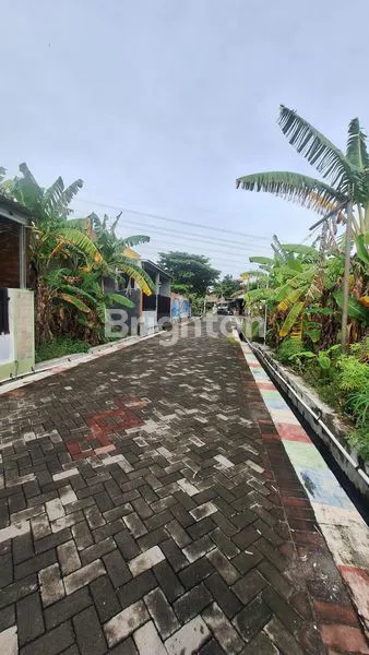 image TANAH DATAR SIAP BANGUN AREA PEDURUNGAN (7)