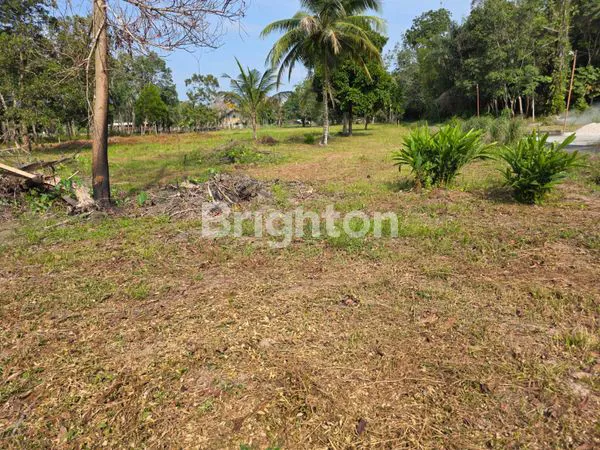 image DIJUAL TANAH/BENGKALIS (1)