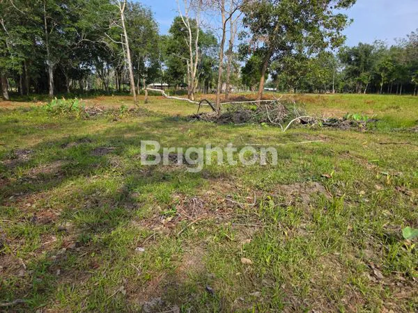 image DIJUAL TANAH/BENGKALIS (2)