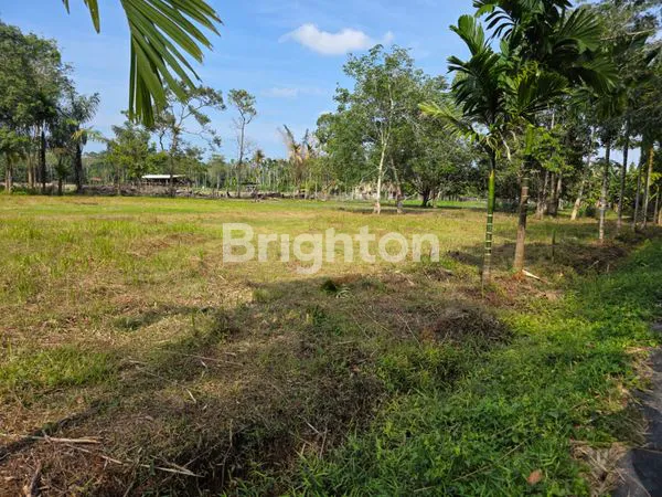 image DIJUAL TANAH/BENGKALIS (4)