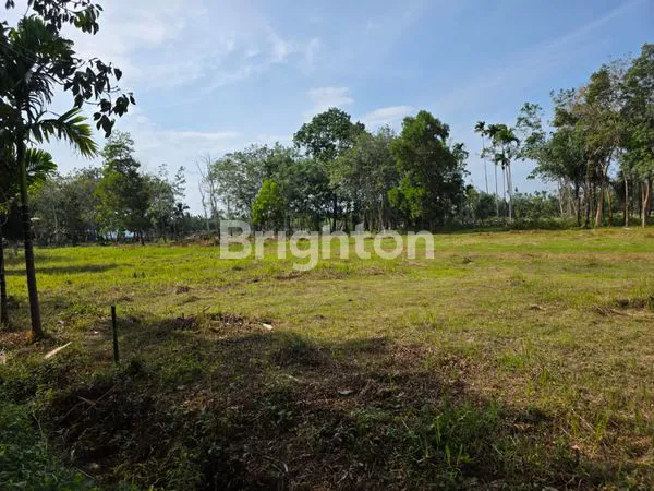 image DIJUAL TANAH/BENGKALIS (5)