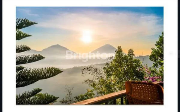 image LAHAN STRATEGIS 10.990 M² DI KINTAMANI, VIEW 3 GUNUNG (4)
